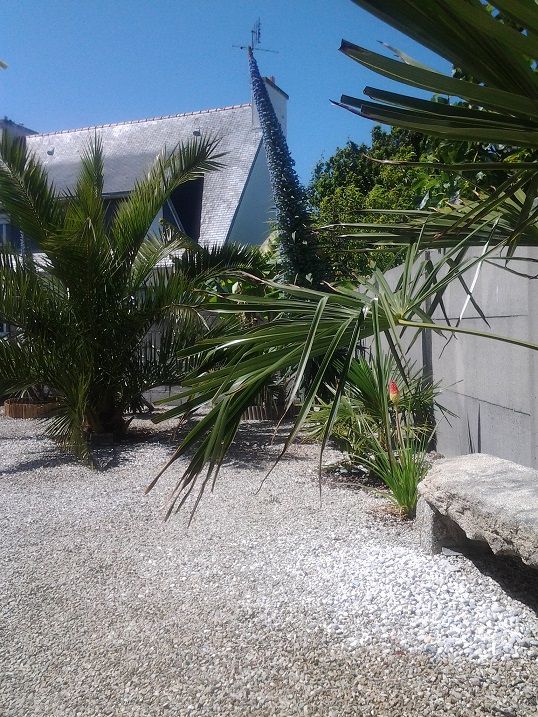 20150603_155017.jpg