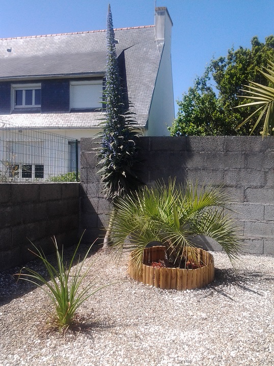 20150603_155037.jpg