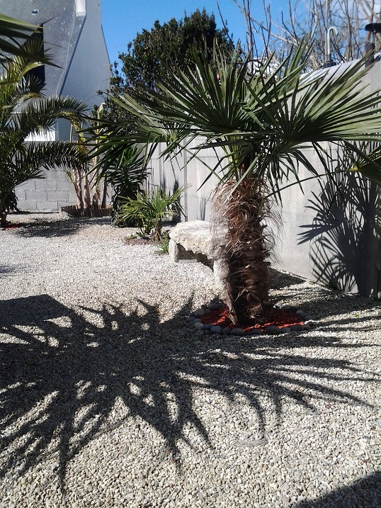 20150325_145234.jpg