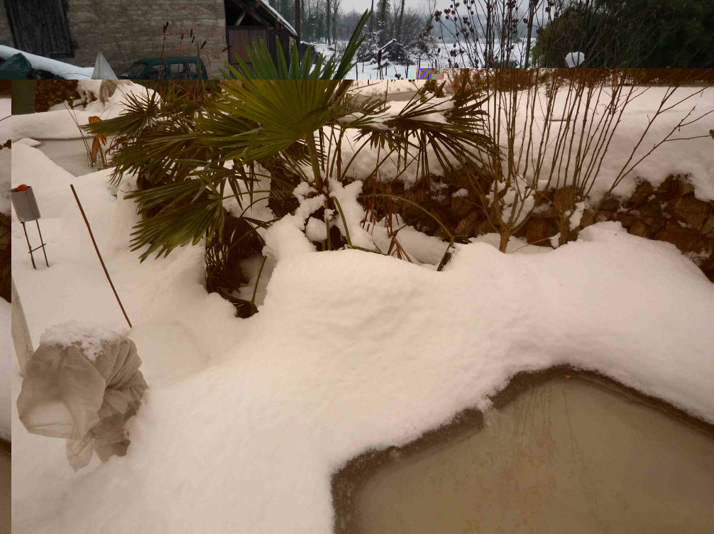 record de neige ( trachy ).jpg