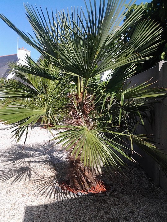 20150725_103242.jpg