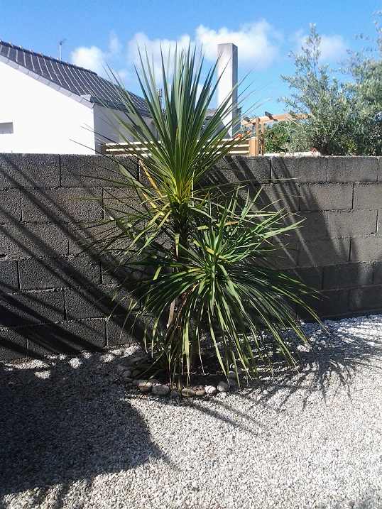 20150725_103258.jpg