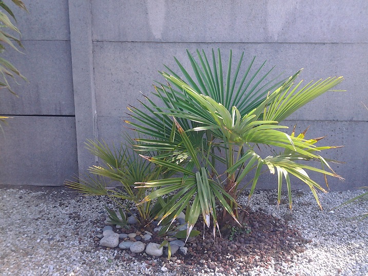 20150725_103500.jpg