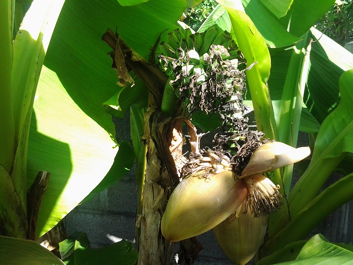20150725_103716.jpg