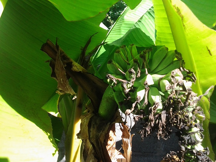 20150725_103723.jpg