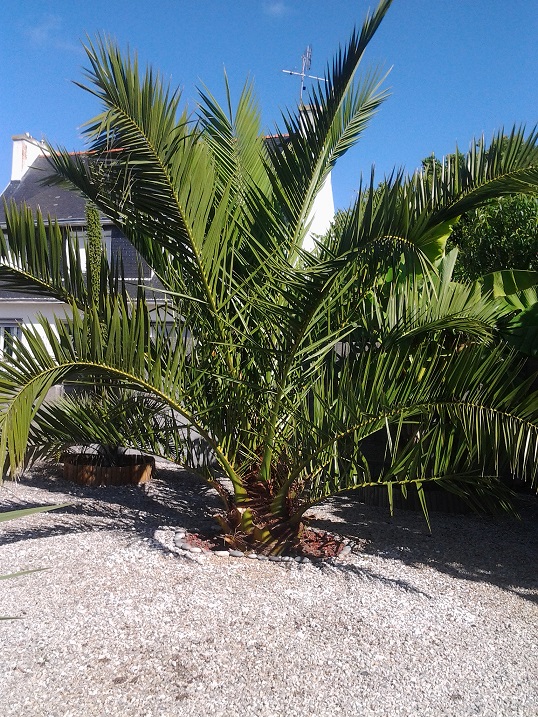 20150725_103817.jpg