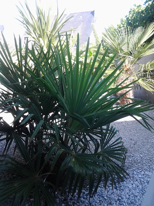 20150725_104145.jpg