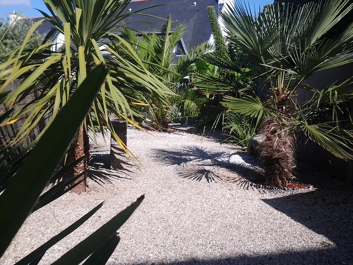 20150725_104252.jpg
