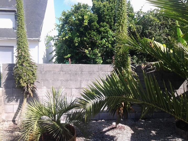 20150725_104323.jpg