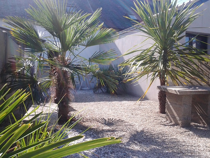 20150725_104445.jpg