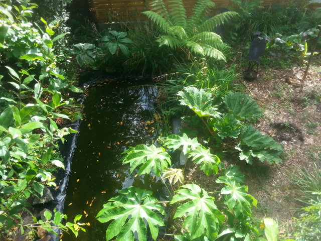 20150727_175605.jpg