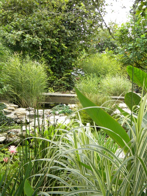 bassin environnement.jpg