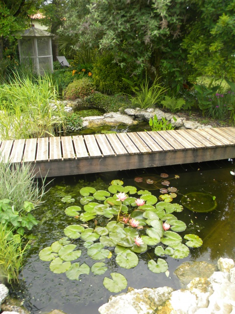 Bassin supérieur.jpg