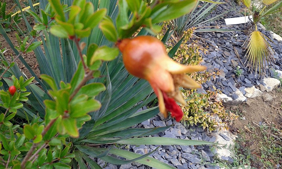 20150726_151733_resized.jpg
