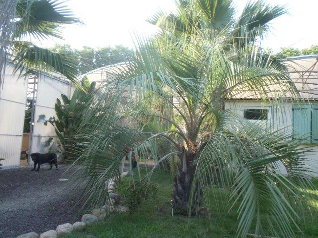 P8060027.jpg