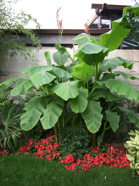 SPA58416.JPG
