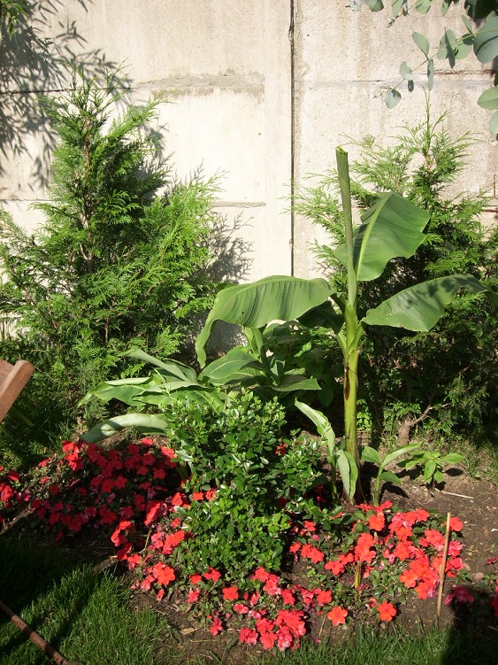 SPA57940.JPG