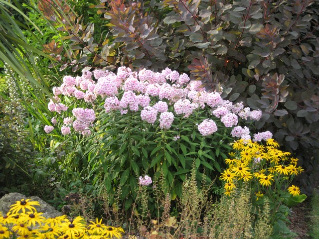 Photo 866.jpg