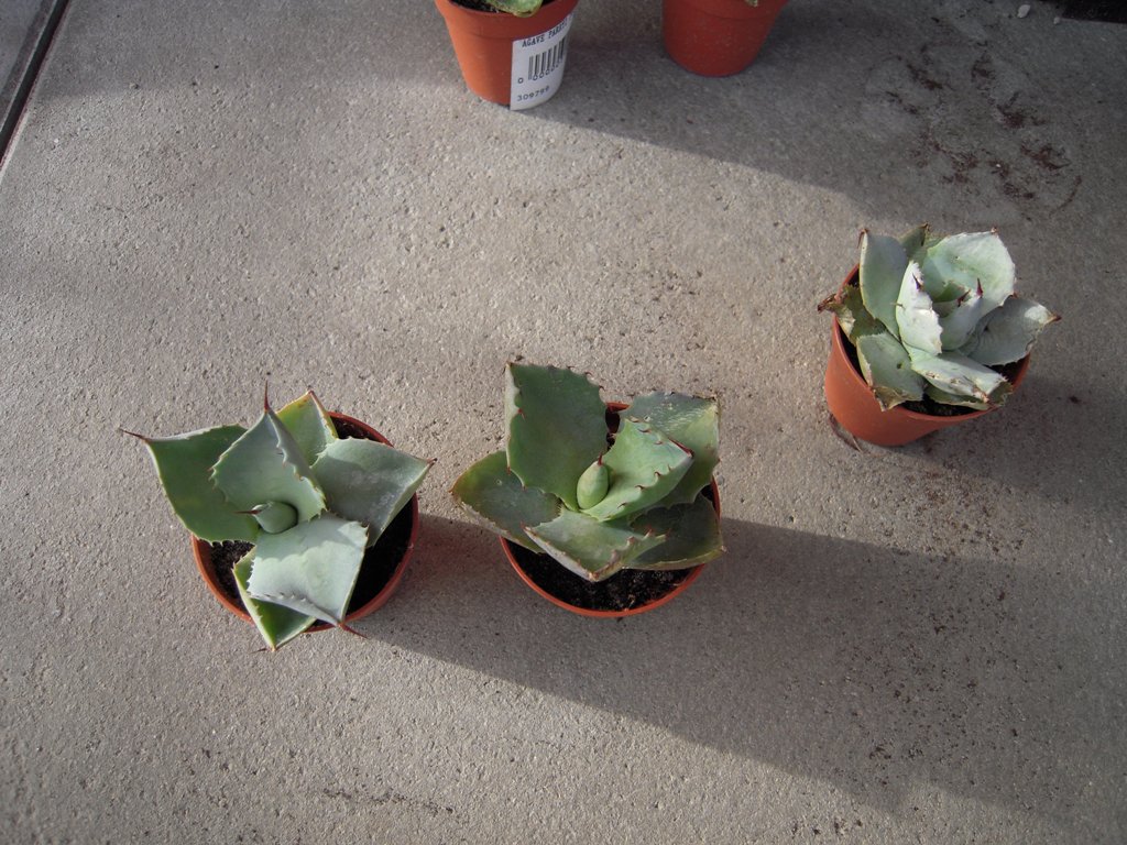 DSCN1476.JPG