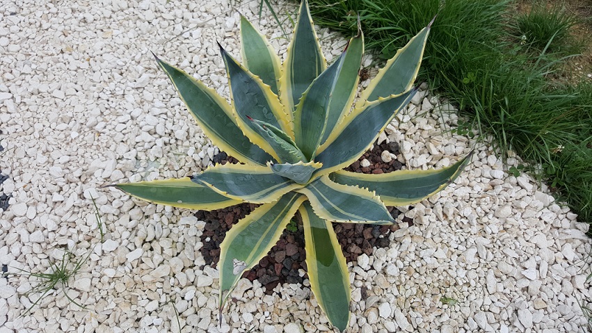 20150813_170624.jpg