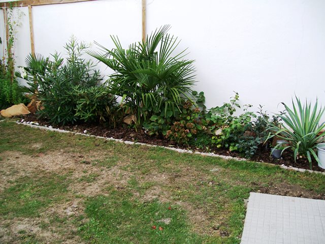 aout20156.jpg
