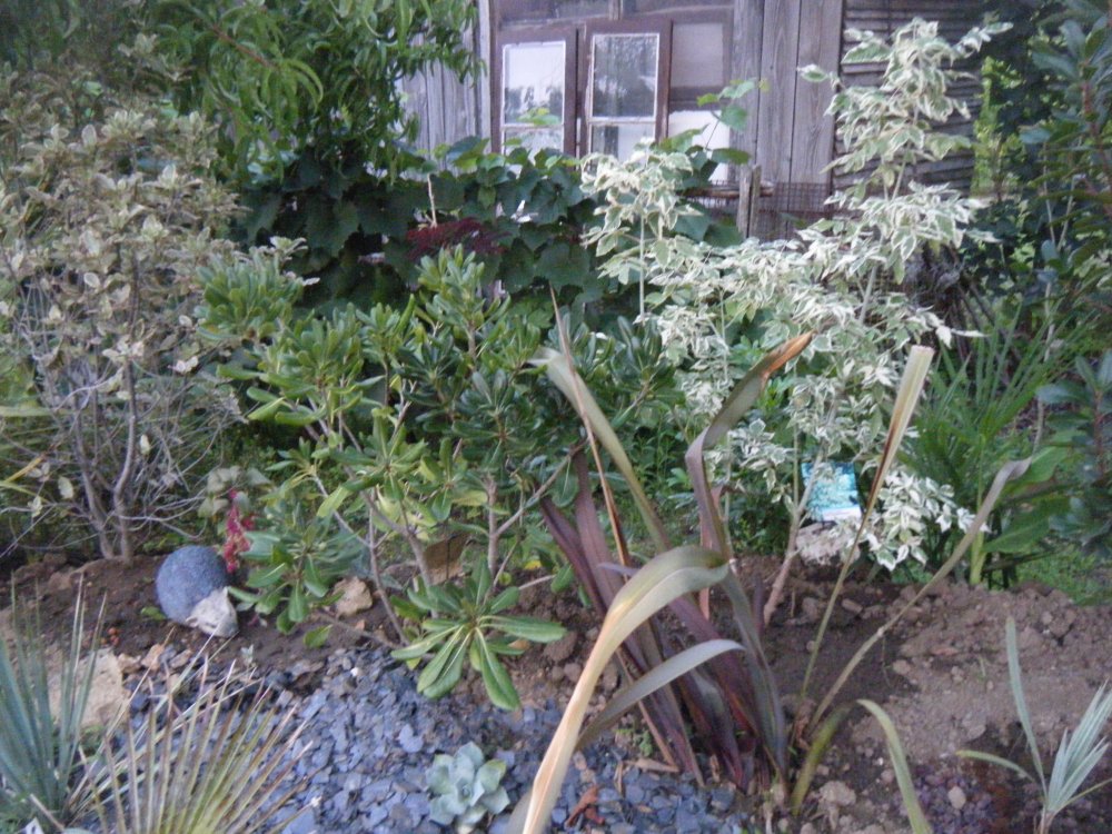 DSCF3462.JPG