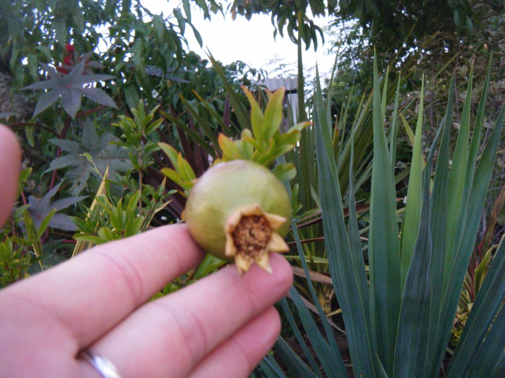 DSCF3459.JPG
