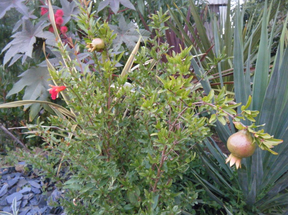 DSCF3458.JPG