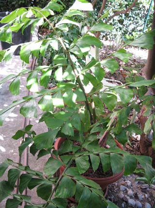 IMG_7805.JPG