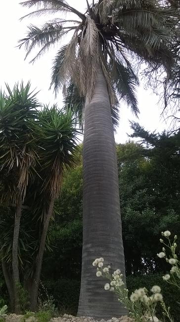WP_20150723_011.jpg