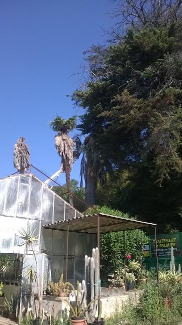 WP_20150724_003.jpg