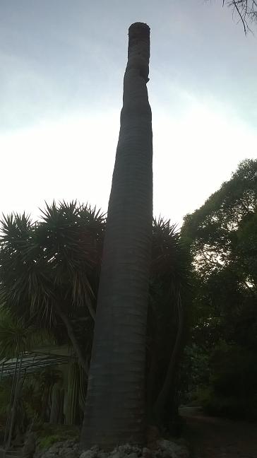 WP_20150724_020.jpg