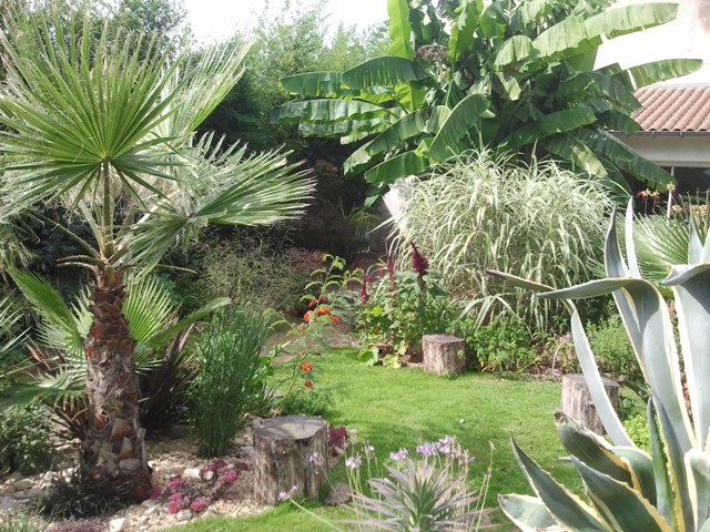 jardin 2015 m.jpg
