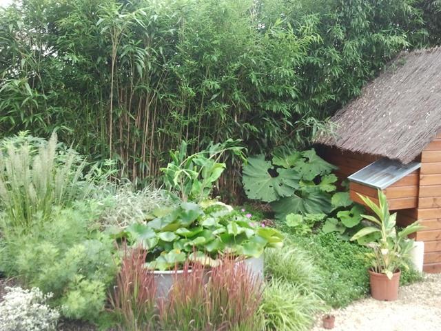 jardin 2015 p.jpg