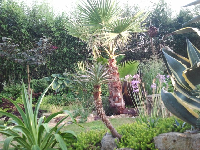 Jardin 2015 w.jpg