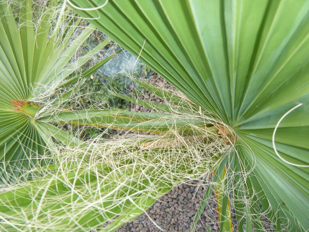 dscf3773.jpg