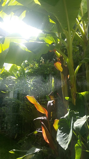 PNC jardin 2 09 2015.jpg