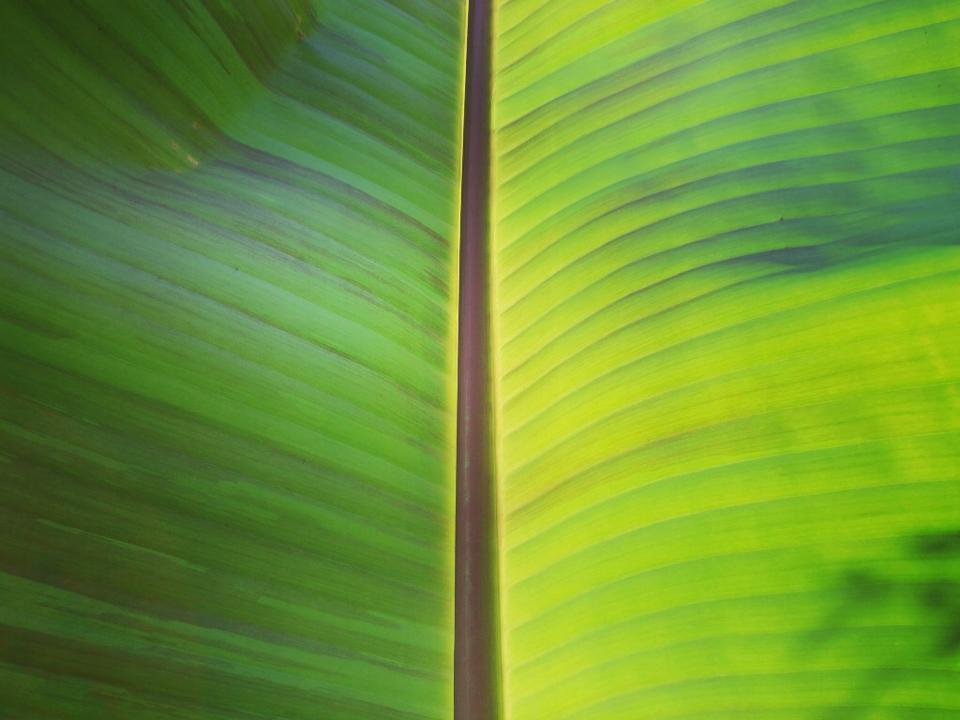 12006119_760875867391512_4097733469194839048_n.jpg