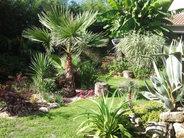 jardin septembre 2015 003.jpg