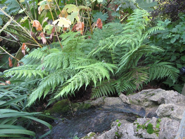 Photo 924.jpg