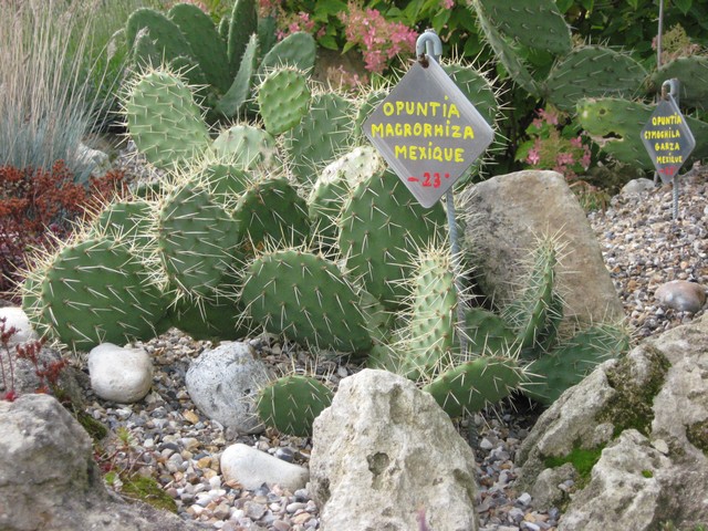 Photo 936.jpg