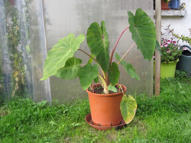 Photo 925.jpg