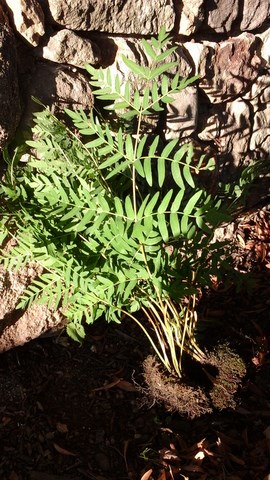 20150906_184629 (Copier).jpg