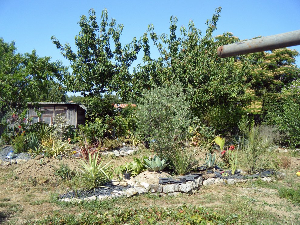 DSCF3217.JPG