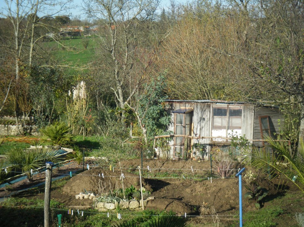 DSCF0999.JPG