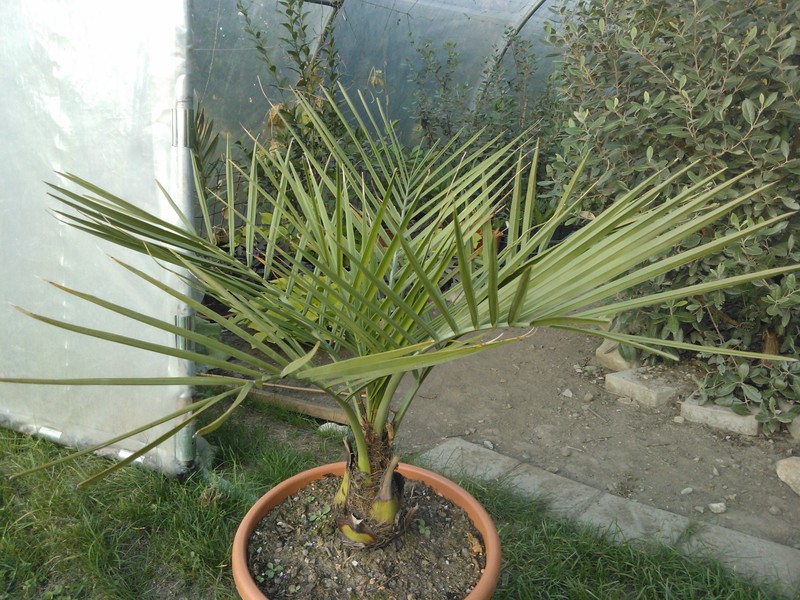 WP_001745_zpsk5ctlnqu.jpg