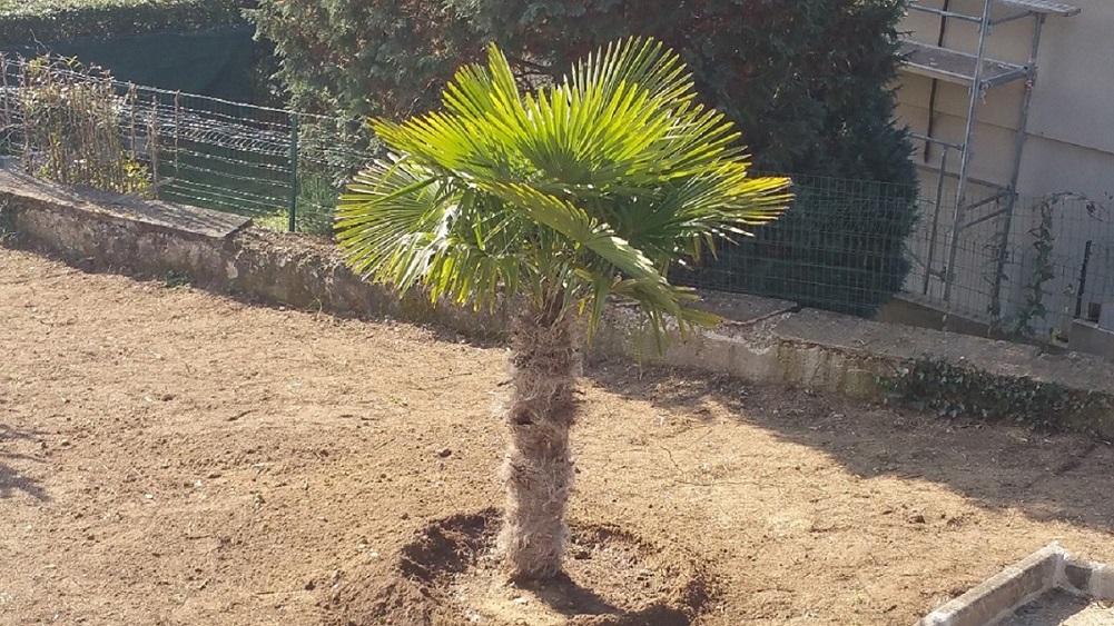 voila voila !<br /><br />Merci pour vos com's d'avance !