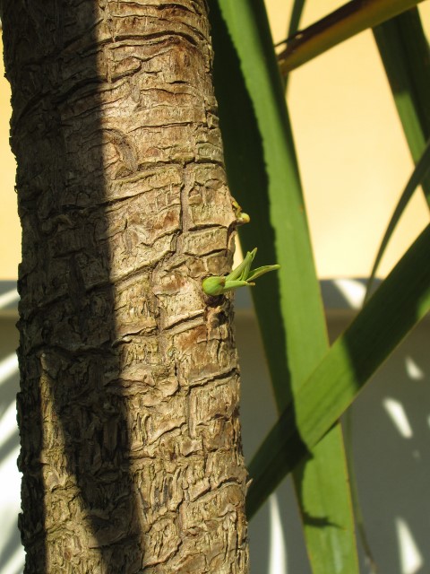 sept 2015 026 (480x640).jpg