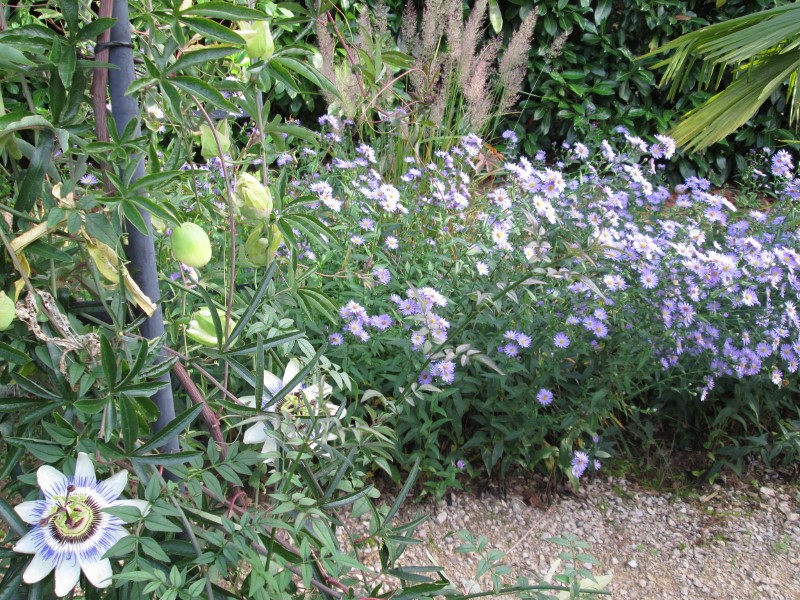 sept 2015 066 (800x600).jpg