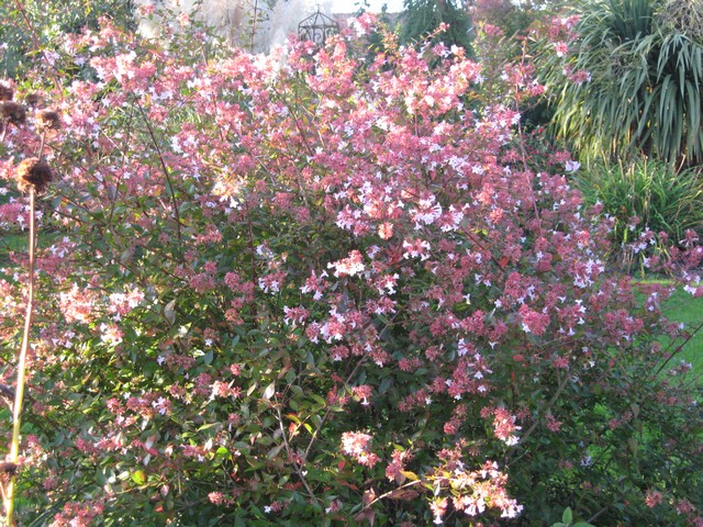 Photo 968.jpg